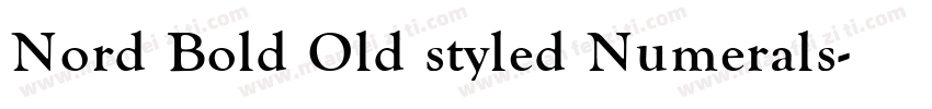 Nord Bold Old styled Numerals字体转换